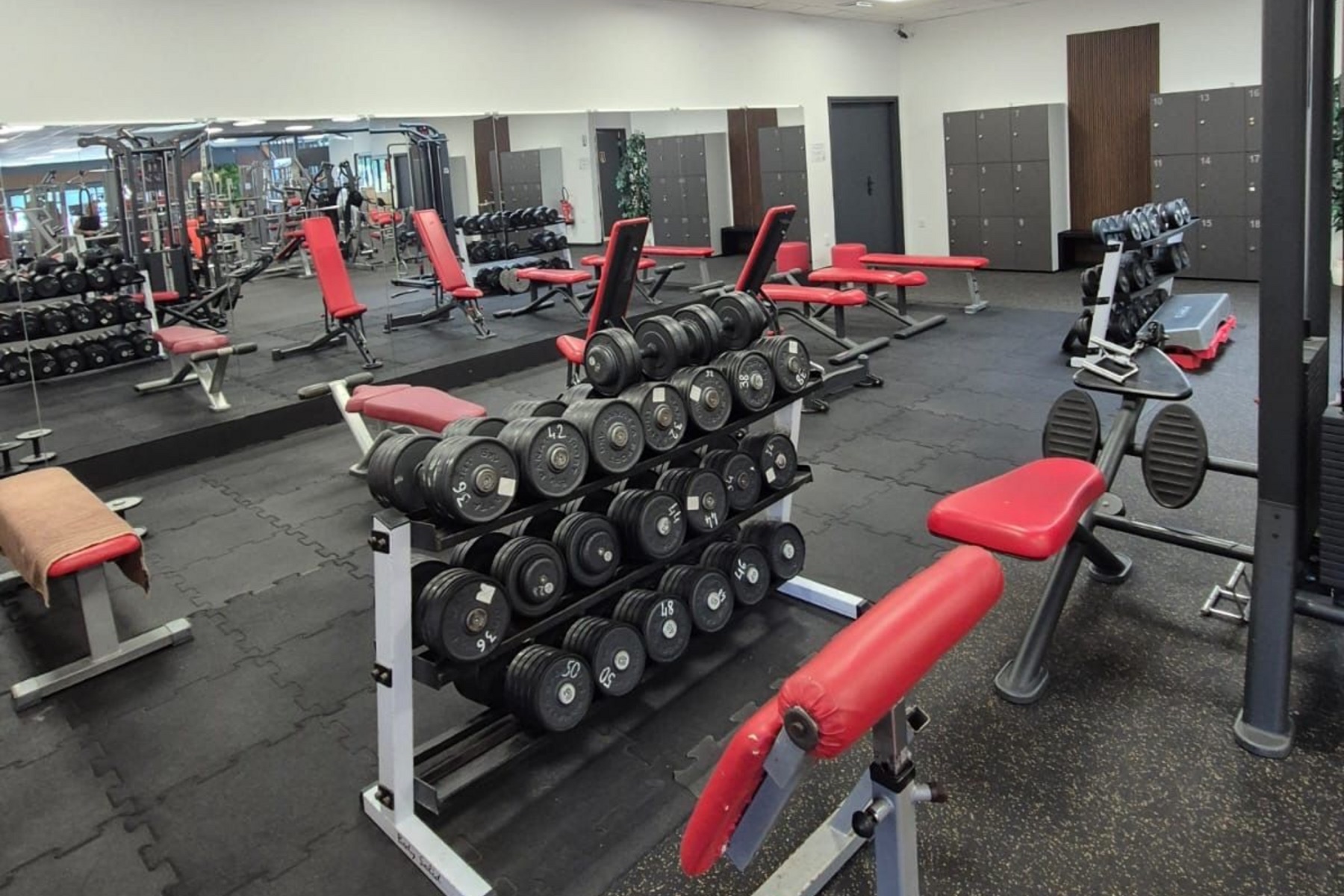 Le coin haltères de la salle de musculation